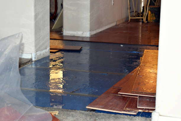 Professional Sewage Cleanup technician working in Keene, TX